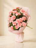 Pink Carnations Bliss