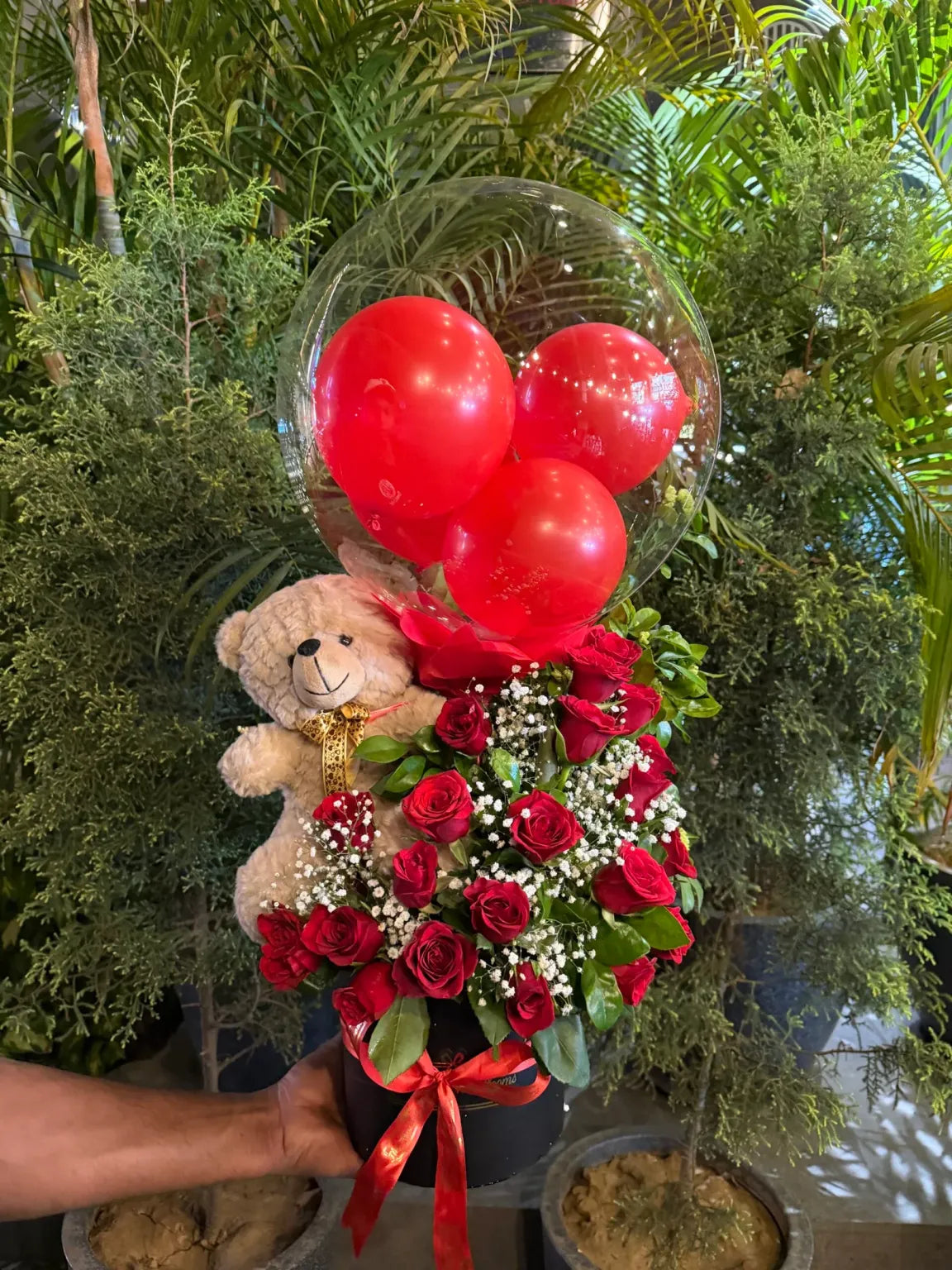 Teddy Rose Box